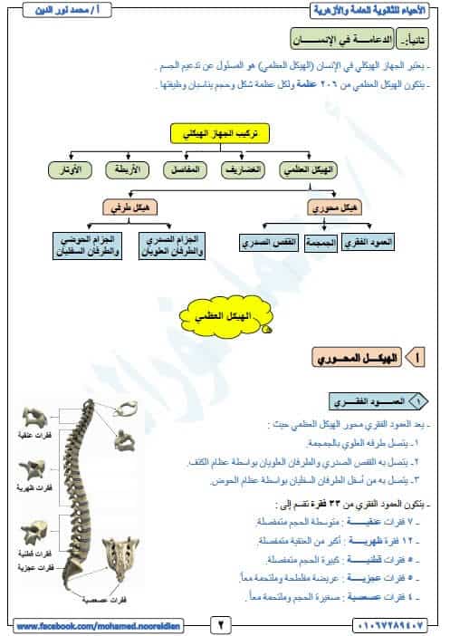 تعريف الوتر في الرياضيات pdf