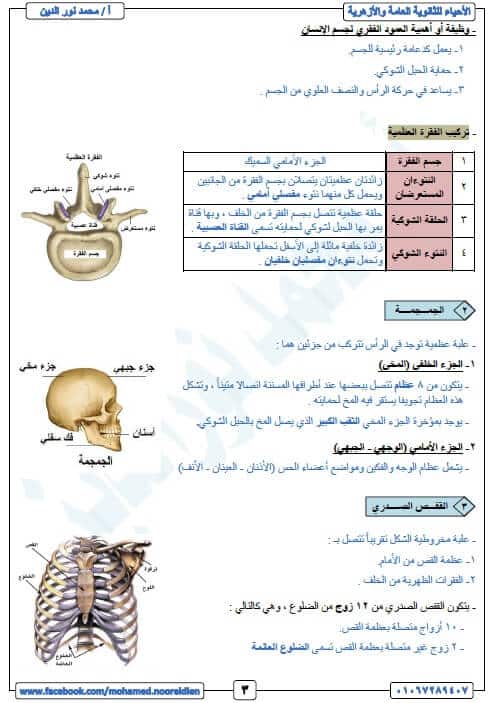 مذكرة احياء للصف الثالث الثانوي
