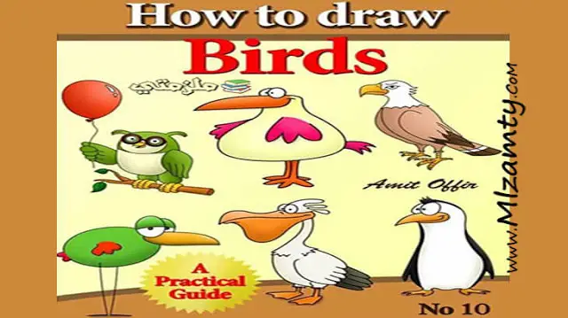 كيفية تعلم رسم الطيور للاطفال
