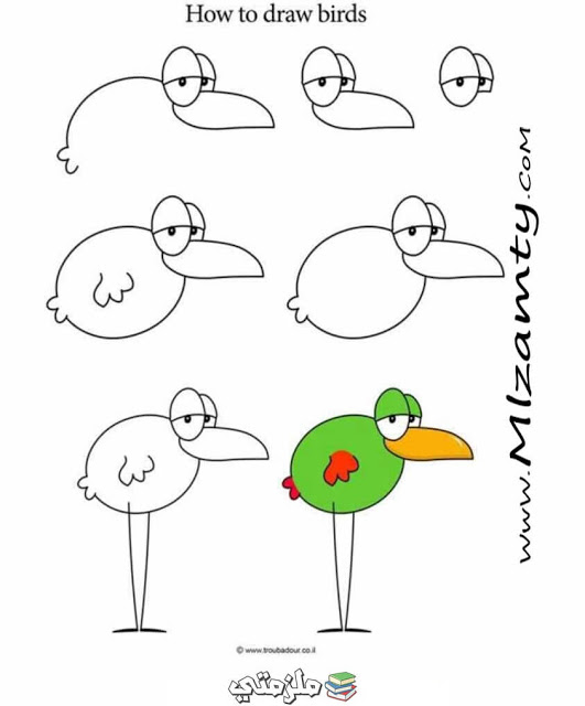 تعلم رسم الطيور خطوة بخطوة