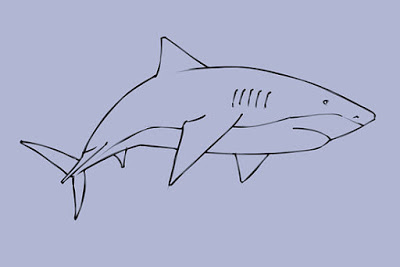 رسم سمكة القرش بطريقة بسيطة