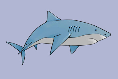 رسم سمكة القرش بطريقة بسيطة