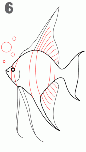 طريقة رسم السمكة بالصور للأطفال