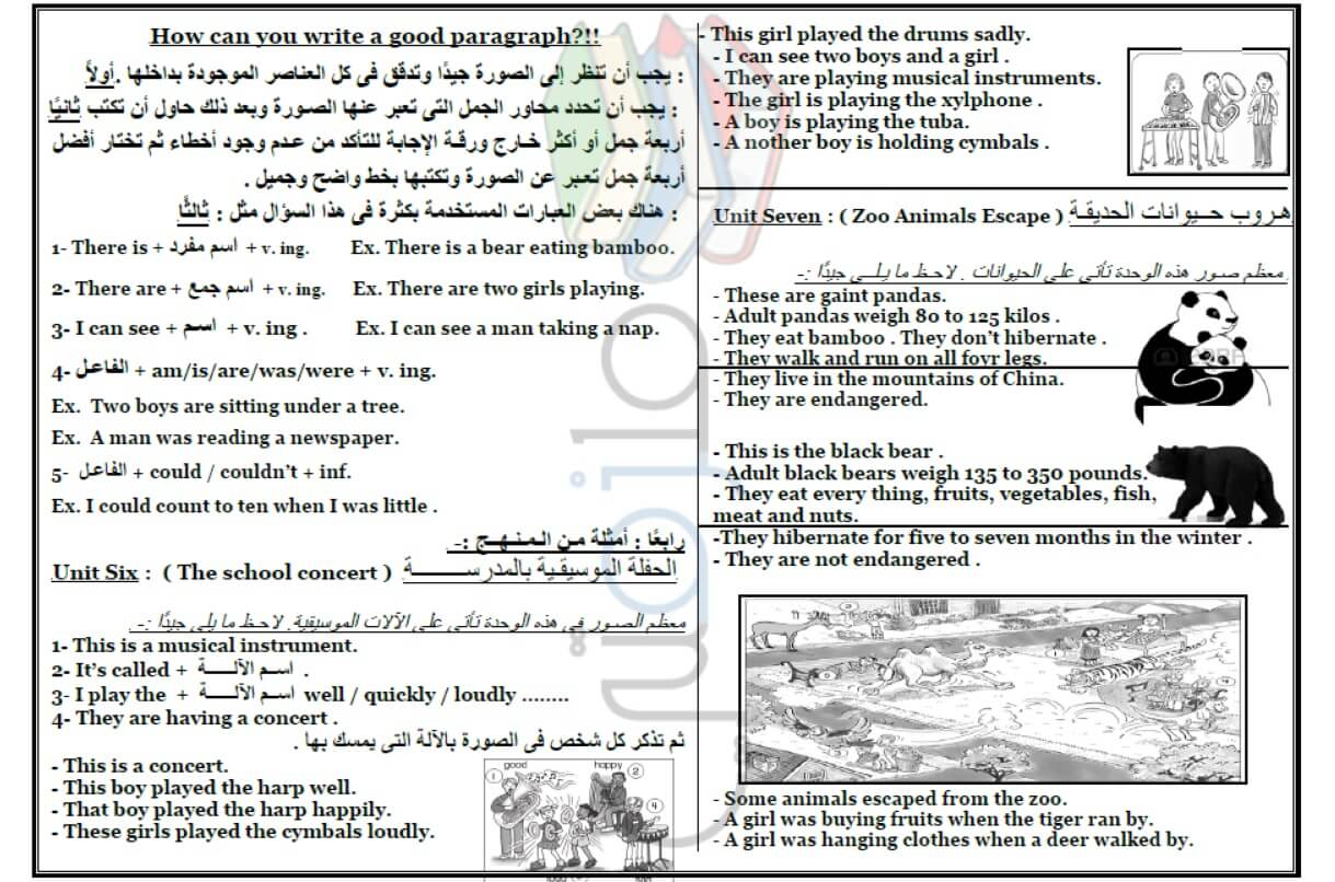 طريقة كتابة خطاب باللغة الإنجليزية للصف السادس الابتدائي - ملزمتي