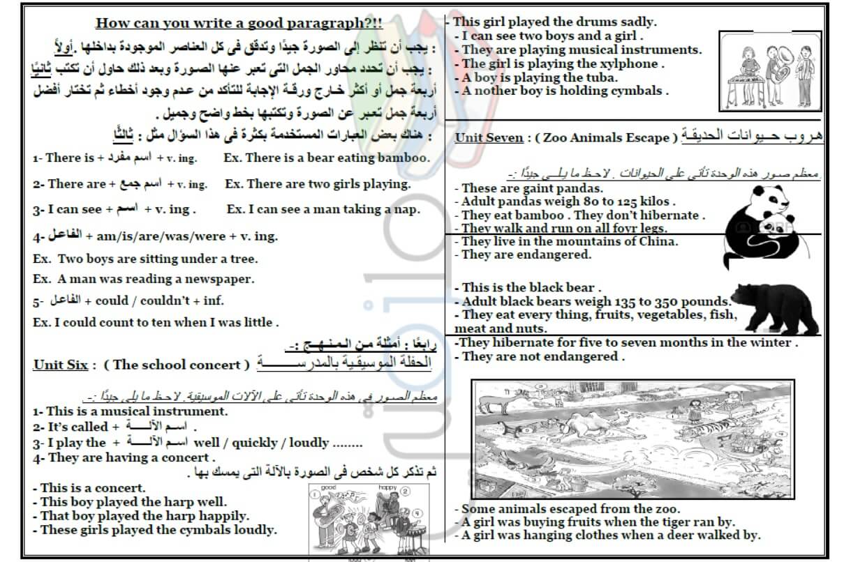 طريقة كتابة خطاب باللغة الإنجليزية للصف السادس الابتدائي