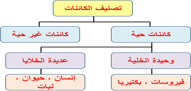 المخلوقات الحية والغير حية كائنات غير حية للاطفال