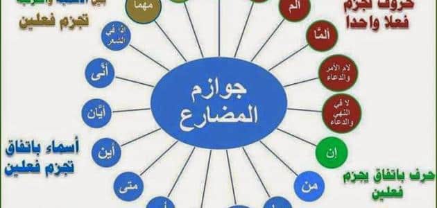 أدوات نصب الفعل المضارع مع الاستشهاد