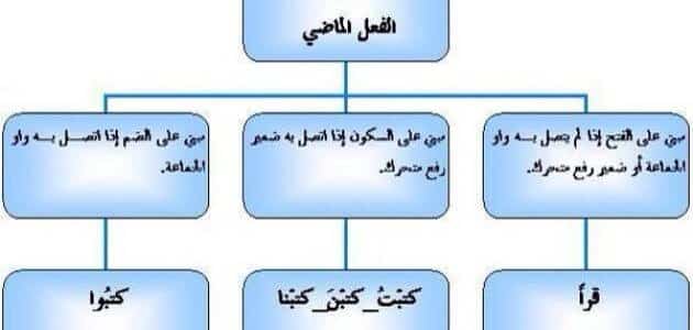 علامات إعراب الفعل الماضي والأمر