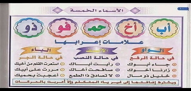 ترفع الأسماء الخمسة ب