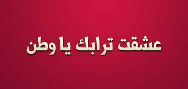 موضوع تعبير عن الوطن بالعناصر والأفكار ملزمتي