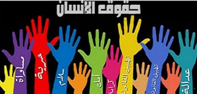 آليات حماية حقوق الإنسان في الوطن العربي
