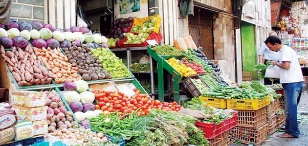 بحث عن غلاء الأسعار في مصر
