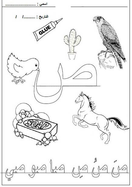 ورقة عمل حرف ص الصاد