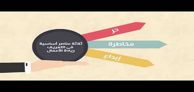 موضوع تعبير عن ريادة الاعمال في مصر pdf