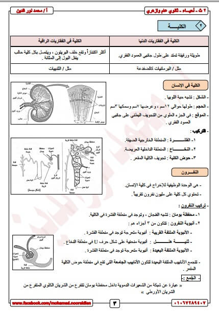 مذكرة احياء للصف الثاني الثانوي الترم الثاني