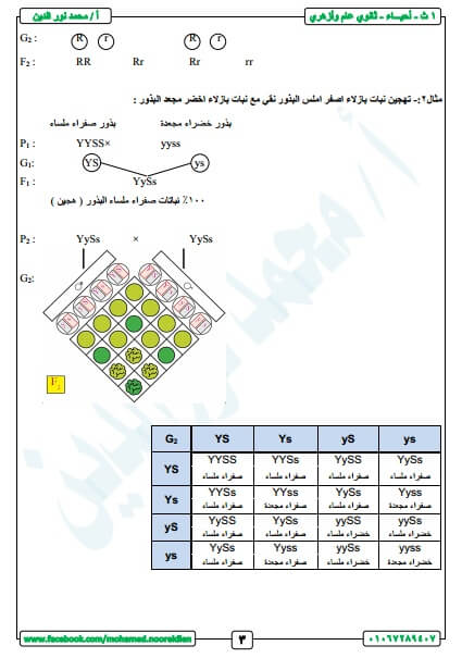 مذكرة مادة الأحياء الصف الأول الثانوي الترم الثاني