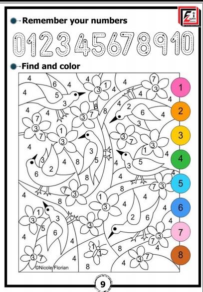 مذكرة لغة انجليزية KG 2 plus Term 1 شرح مبسط ل 2 كونكت بلس