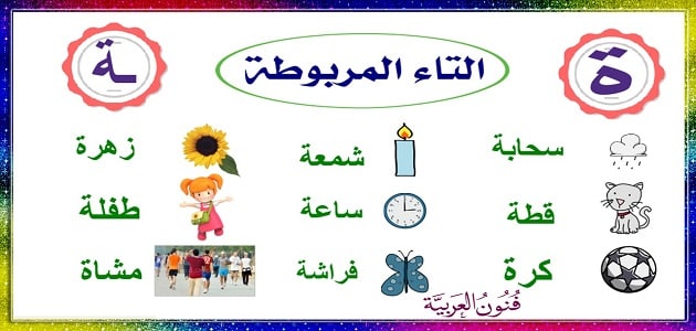 الفرق بين الهاء والتاء المربوطة ملزمتي