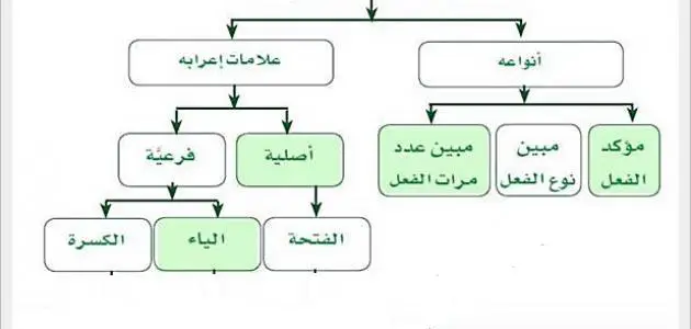 المفعول المطلق وما ينوب عنه