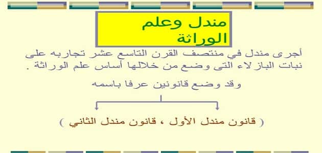 قانون مندل في الوراثة