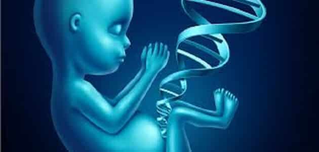علم الوراثة في الإنسان
