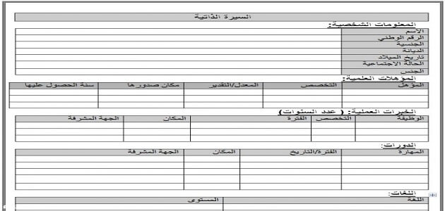نموذج سيرة ذاتية فارغ جاهز للتعبئة Pdf ملزمتي