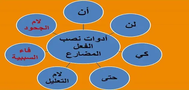 علامات نصب الفعل المضارع في أحواله المختلفة