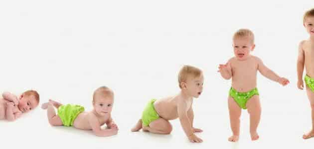 بحث عن مراحل نمو الطفل مع المقدمة والخاتمة