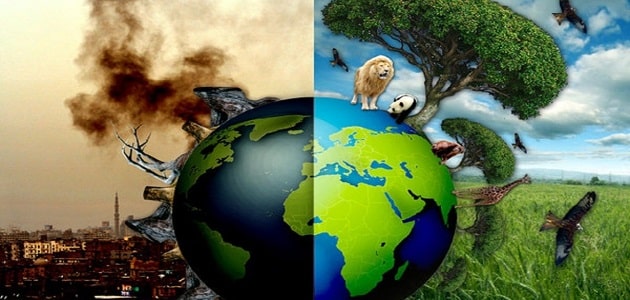 أخطار التلوث البيئي وسبل مكافحتها