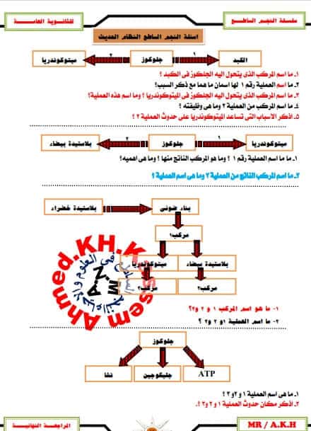 أقوى مذكرة أحياء للصف الثالث الثانوي