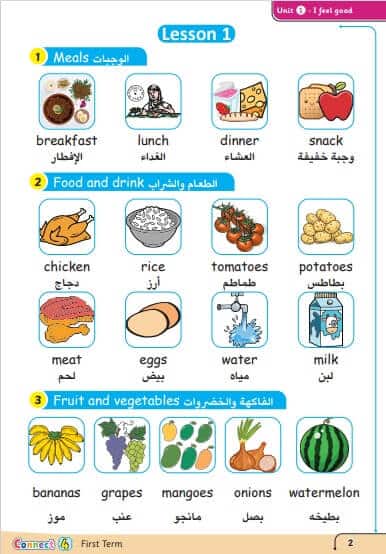 مذكرة كونكت صف رابع ابتدائي الترم الثاني 