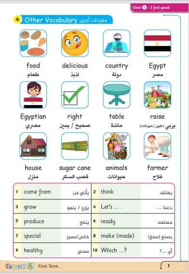 مذكرة كونكت صف رابع ابتدائي الترم الثاني 