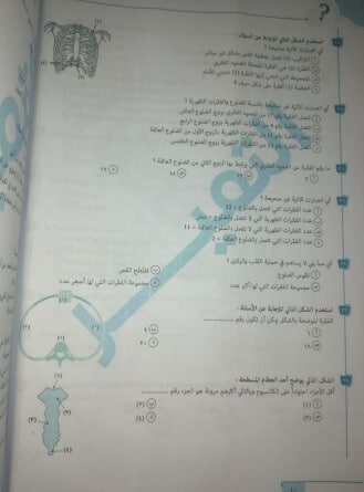 مراجعة ليلة الامتحان مادة الأحياء للصف الثالث الثانوي