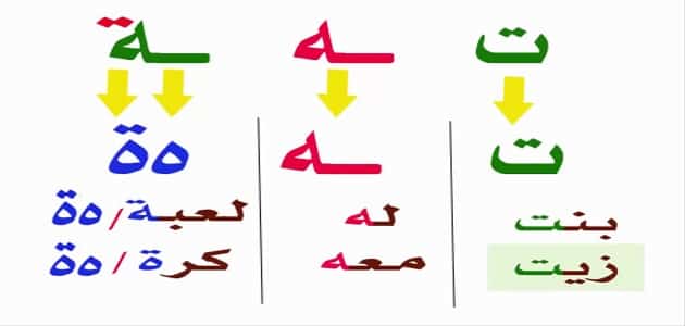 الفرق بين التاء المربوطة والتاء المفتوحة