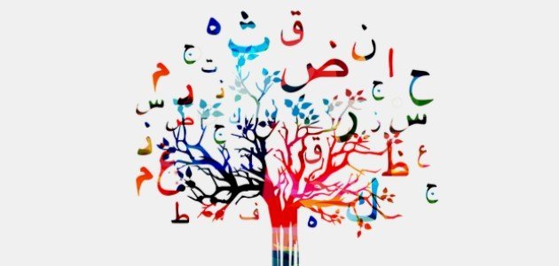 الفرق بين الهاء والتاء المربوطة