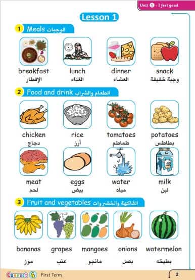 مذكرة كونكت صف رابع ابتدائي الترم الثاني