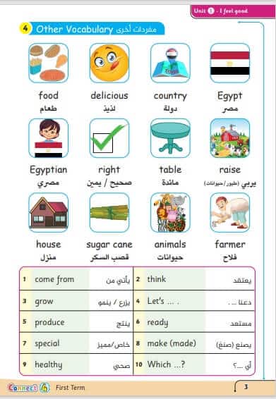 مذكرة كونكت صف رابع ابتدائي الترم الثاني