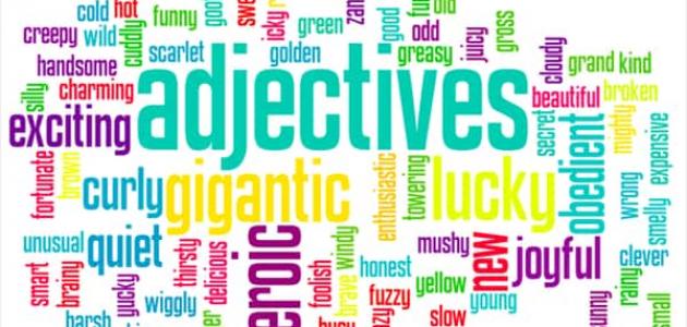 الفرق بين adjective  و noun