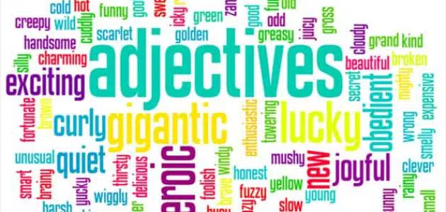 الفرق بين adjective و noun