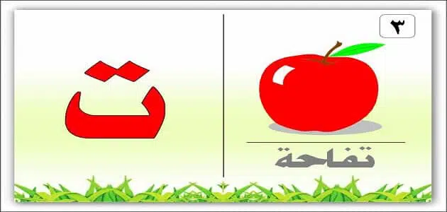 الفرق بين التاء المربوطة والمفتوحة والهاء