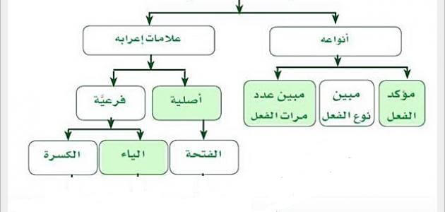 الفرق بين المفعول المطلق والمفعول لأجله - ملزمتي