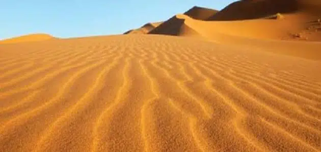 تعبير عن البيئة الصحراوية