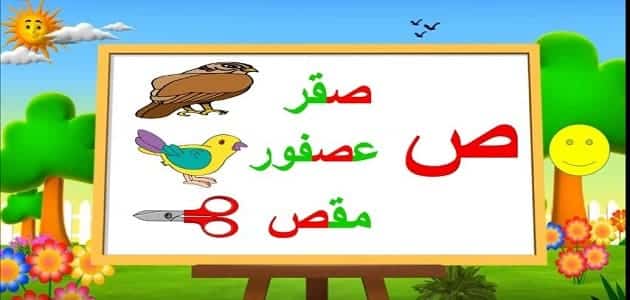 كلمات تبدأ بحرف الصاد ص