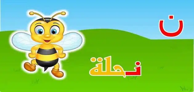 كلمات تبدأ بحرف النون ن